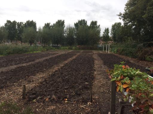 Thumbnail of Oogstseizoen op de akker Westlandse weg voorbij